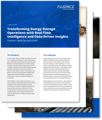 Download the Fluence Digital Services Case Stud