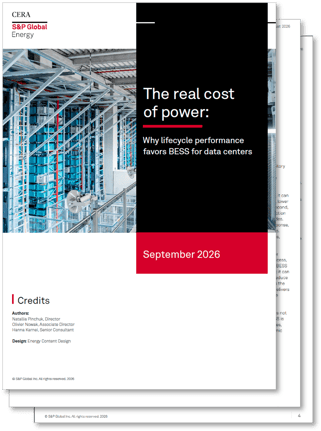 S&P Whitepaper Image